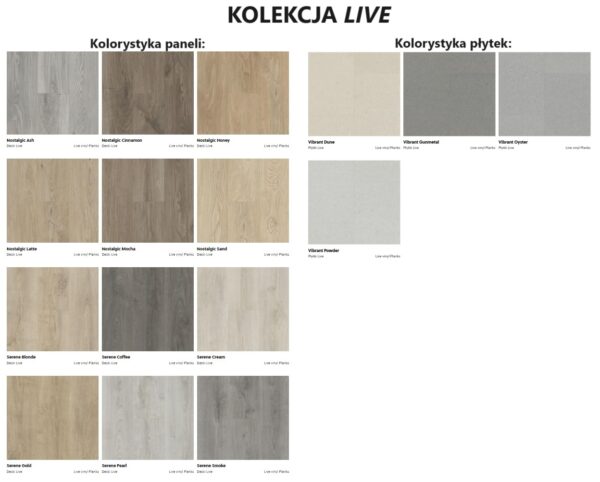 KOLORYSTYKA-LIVE KOLORYSTYKA-LIVE