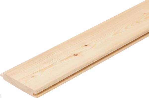 ModrzewSyberyjskiFazaNatur-1