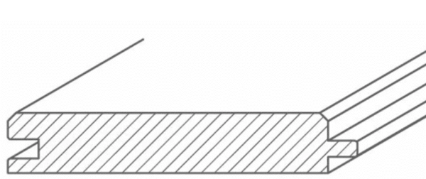 ModrzewSyberyjskiFazaNatur_1 ModrzewSyberyjskiFazaNatur_1
