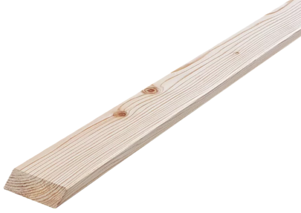 ModrzewSyberyjskiRownoleglobokAB2068-1